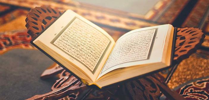 Kur'an'da Riba Refes Rics Kavramları Açıklandı