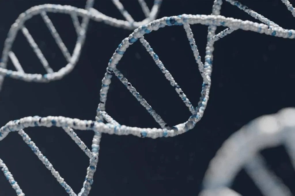 Antik DNA Örnekleri Doğu Asya Tarihini Baştan Yazıyor