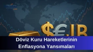 Döviz Kuru Hareketlerinin Enflasyona Yansımaları