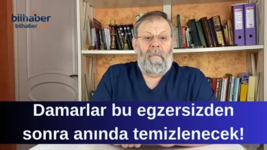 Kan Damarlarını Temizlemenin Bilimsel Yolu