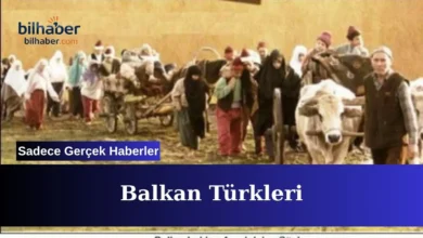 Balkan Türkleri konusunda yaşanan gelişmeler gündemi salladı