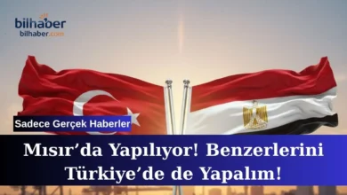 Mısır serbest bölge projesi sanayi ve ticarette yeni dönem açıyor