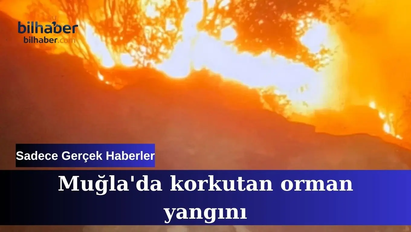 Muğla orman yangını alevlerle mücadeleyi tekrar başlattı!