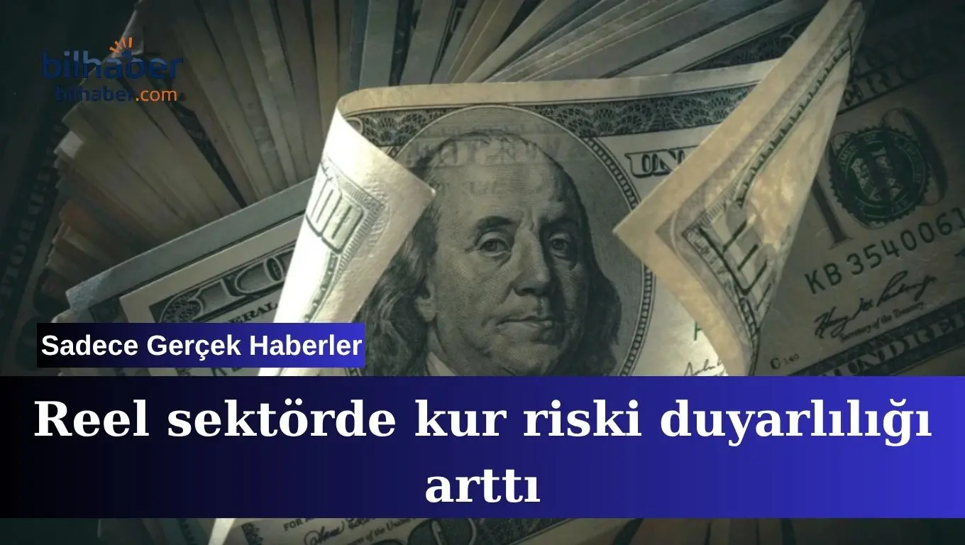 Reel sektörde kur riski duyarlılığı zirve yaptı piyasalar sallandı