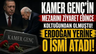 AKP Tunceli İl Başkanlığı atamasının Tunceli siyasetine yansımaları