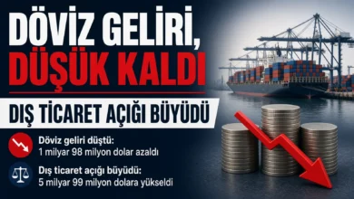 Dış ticaret açığı büyüdü döviz geliri düşük kaldı