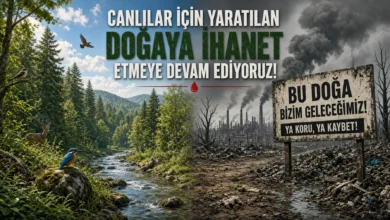 Doğa özeni yaşamın sürdürülebilirliği için vazgeçilmez bir değer taşıyor