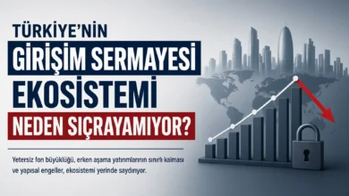 Girişim sermayesi ekosistemi neden sıçrayamıyor?