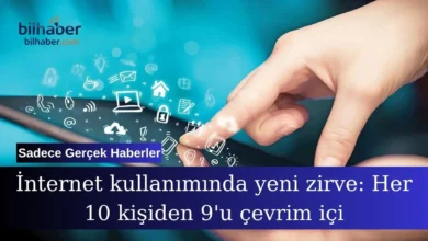 İnternet kullanım oranları rekor seviyeye ulaşarak hayatı değiştiriyor