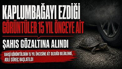 Kaplumbağa görüntüleri 15 yıl sonra yeniden yargı eşiğine geldi