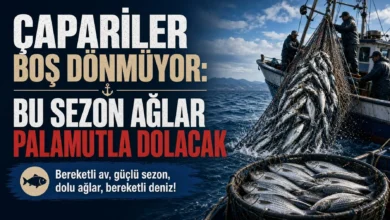 Palamut Avı Sezonu Karadeniz Sularında Balıkçı Yüzlerini Güldürüyor