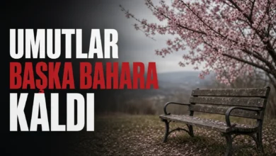 Umutlar başka bahara kaldı ve bu siyaset sahnesinde hayal kırıklığı yarattı