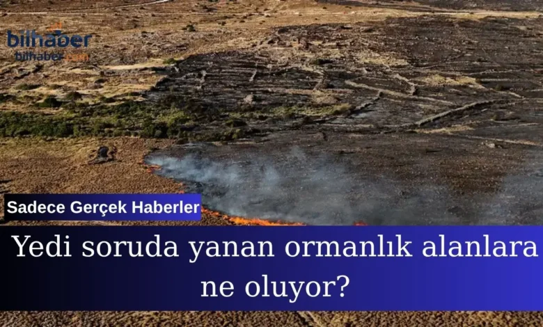 Yanan ormanlık alanlar hakkında merak edilen tüm sorular yanıt buluyor