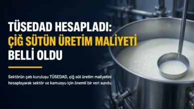 Çiğ süt maliyeti kesif yem zammıyla üreticiyi yeniden sıkıştırdı