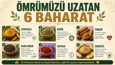 Sağlıklı baharatlar sofradaki yerini bilimsel olarak nasıl güçlendirir?