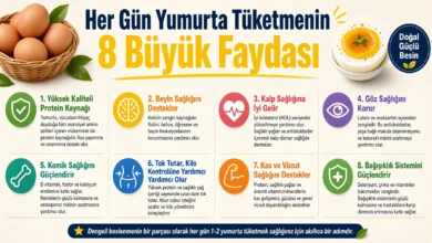 Yumurta Tüketimi Her Sofrada Sağlığı Destekleyen Doğal Bir Güç